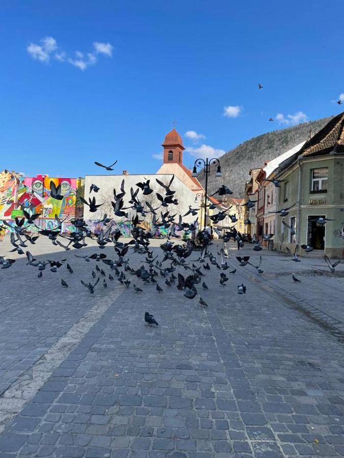 Ferienwohnung Winterland Sf.Ioan Brașov Exterior foto