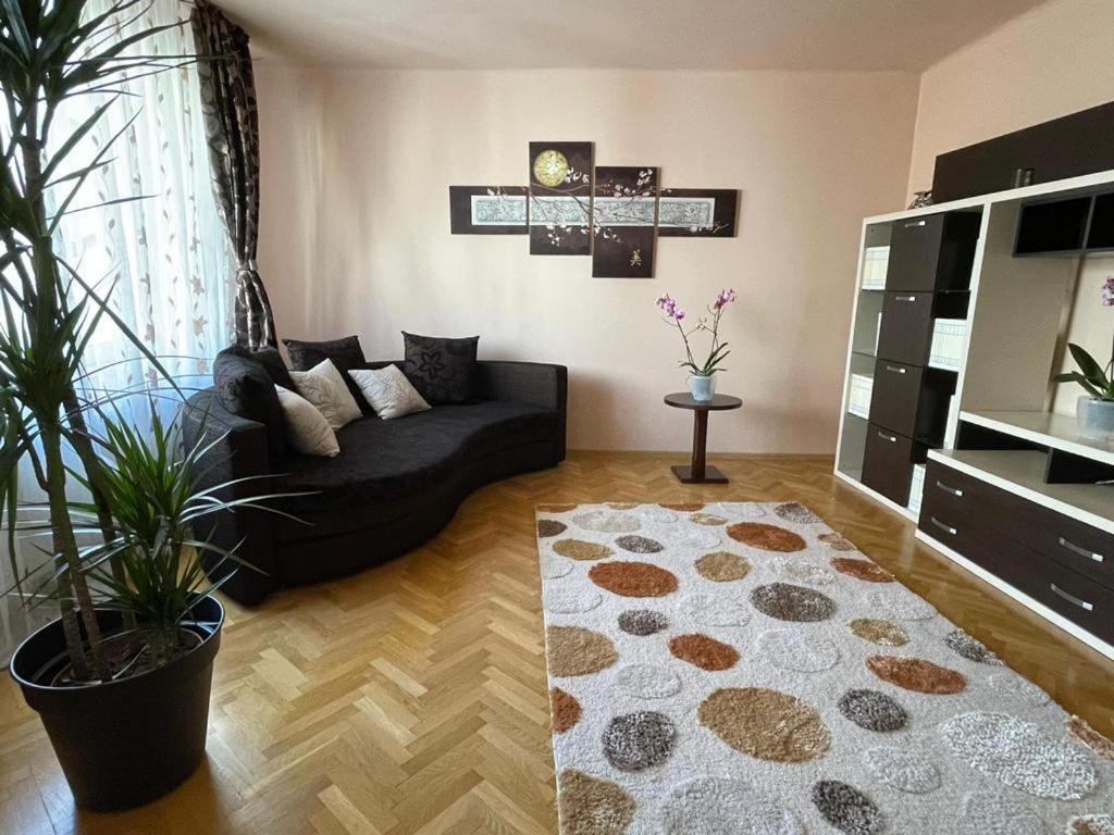 Ferienwohnung Winterland Sf.Ioan Brașov Exterior foto