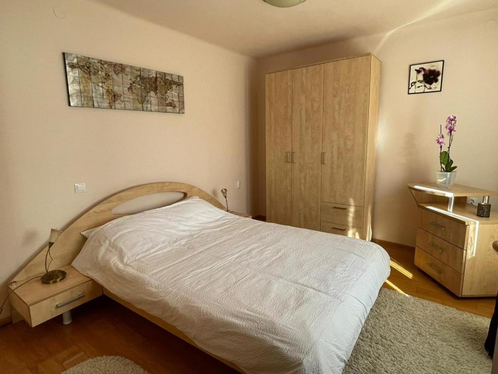Ferienwohnung Winterland Sf.Ioan Brașov Exterior foto